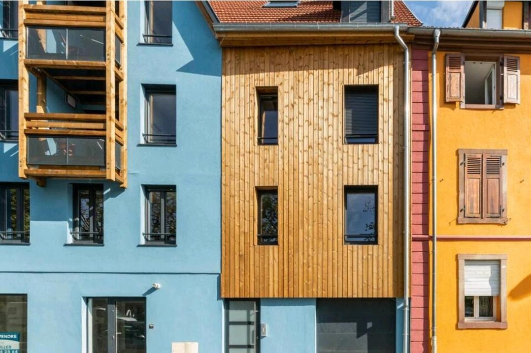 Le Nature 1 Chambre Et Sauna コルマール エクステリア 写真